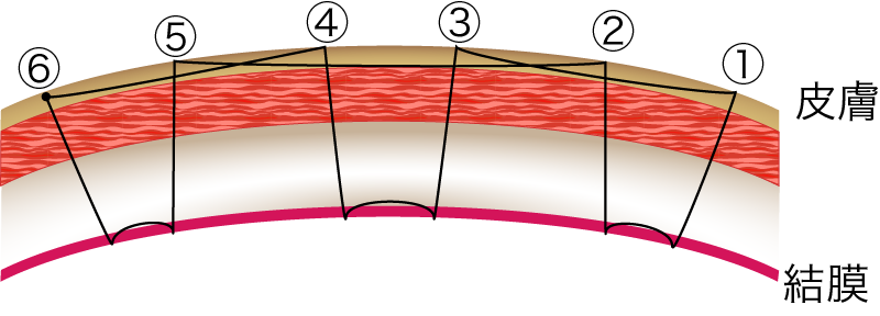 ルクス・シックス法